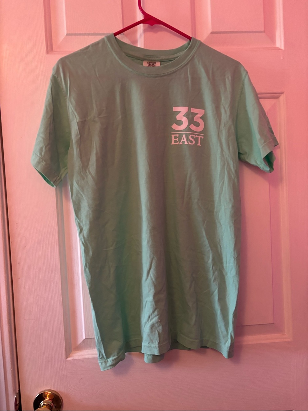 Comfort Colors 33 East Student Living ECU "Set Sail" Mint Tee Graphic T-Shirt